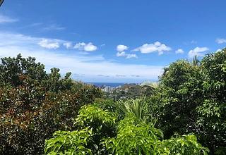 Pacific Heights Home