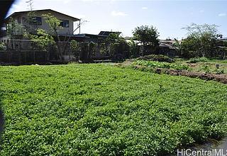 Waipahu-lower Multi-Family