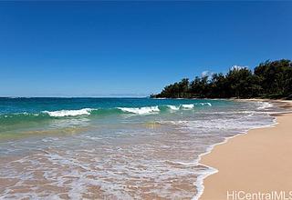 Laie Land