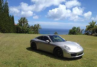 Hawaii Loa Ridge Land