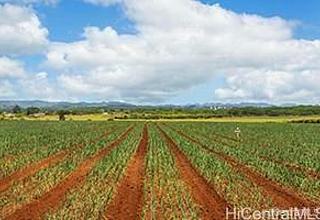 Govt/ag Land