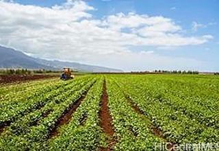 Govt/ag Land