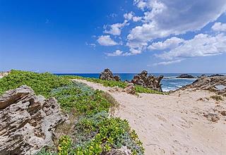Kahuku Land