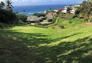 Hawaii Loa Ridge Land