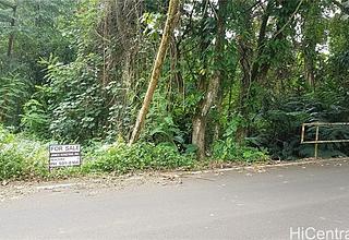 Waihee Land
