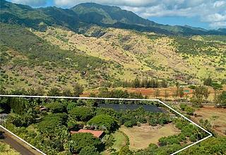Waialua Land