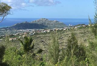 Hawaii Loa Ridge Rental