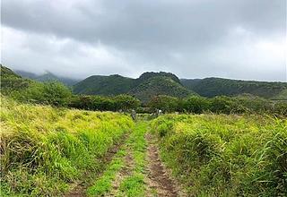 Molokai East Land