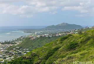 Hawaii Loa Ridge Home