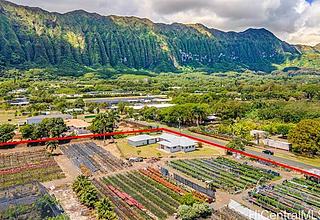 Waimanalo Land