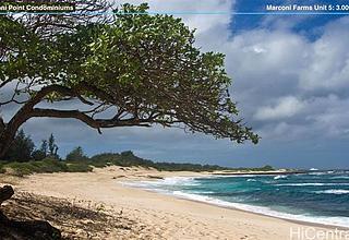 Kahuku Land
