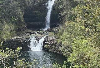Hilo Business