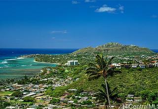 Hawaii Loa Ridge Land