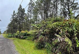 Fern Forest Land